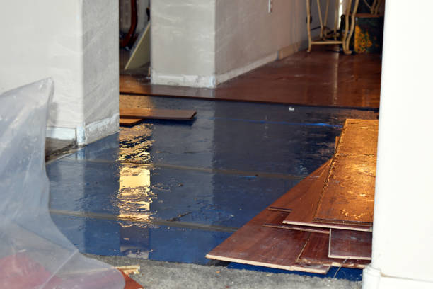 Professional Basement Flood Cleanup technician working in Karns City, PA